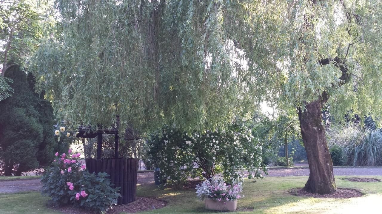 Отели типа «постель и завтрак» Riverfield Bed and Breakfast Гори