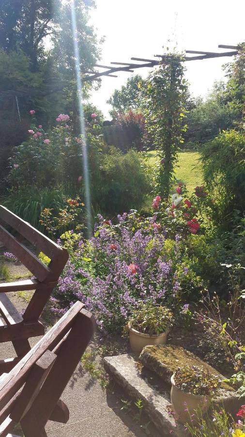 Отели типа «постель и завтрак» Riverfield Bed and Breakfast Гори-40