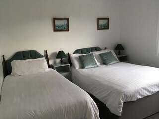 Отели типа «постель и завтрак» Riverfield Bed and Breakfast Гори Двухместный номер с 1 кроватью-6