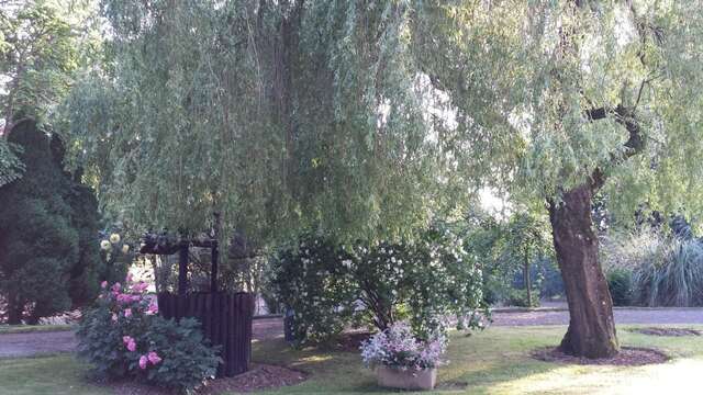 Отели типа «постель и завтрак» Riverfield Bed and Breakfast Гори-31