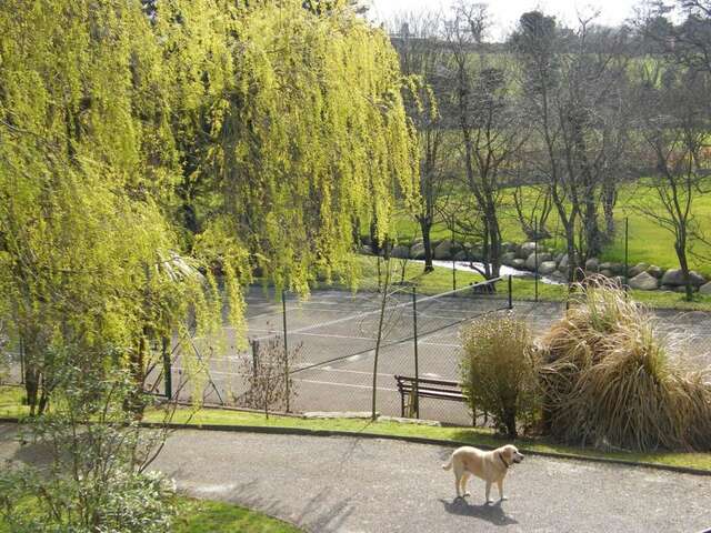 Отели типа «постель и завтрак» Riverfield Bed and Breakfast Гори-32