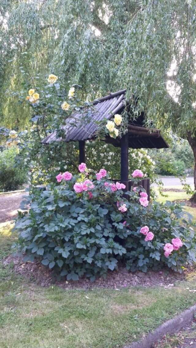 Отели типа «постель и завтрак» Riverfield Bed and Breakfast Гори-33